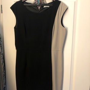 Calvin Klein dual color shift dress